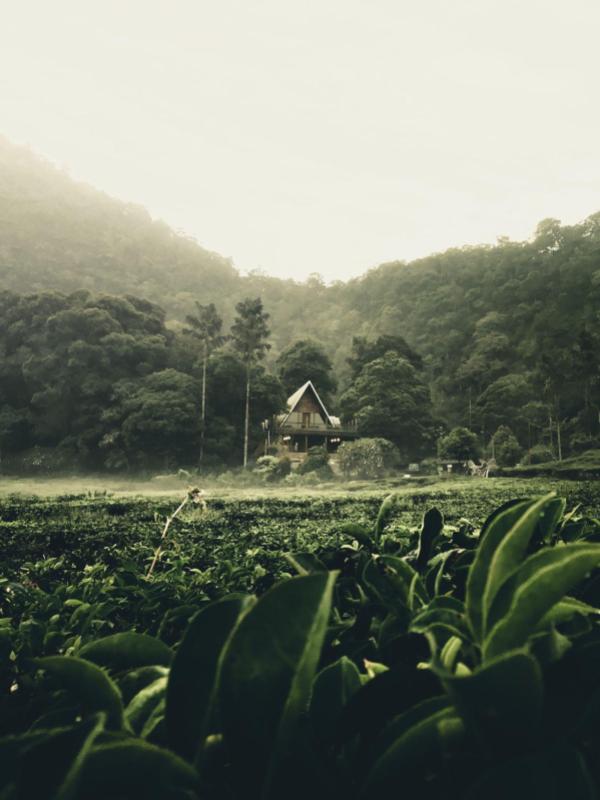 Outdoors